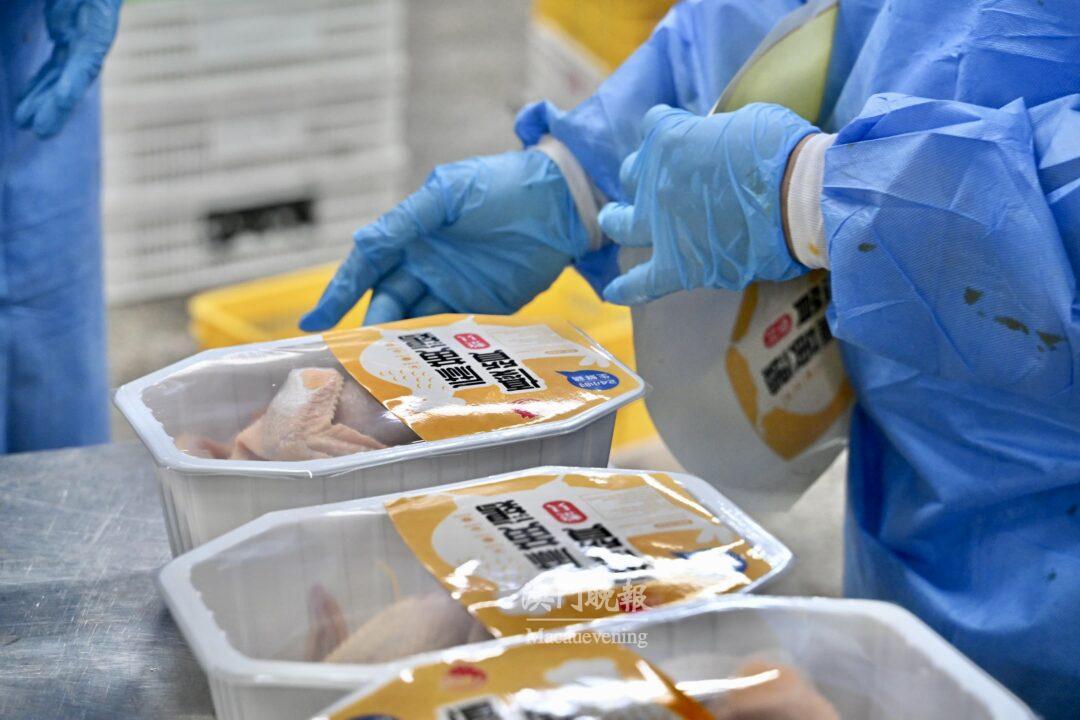 “生鮮雞”即日屠宰即日銷售，由出廠至上市銷售全程冷鏈配送。